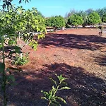 Quinta Casalinho Holiday home *