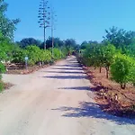 Ferienhaus Quinta Casalinho