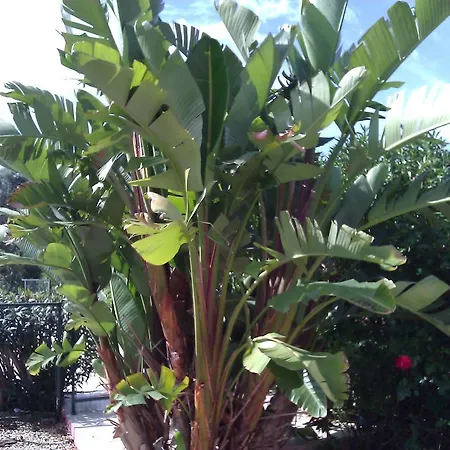 Quinta Casalinho Tatil Evi *