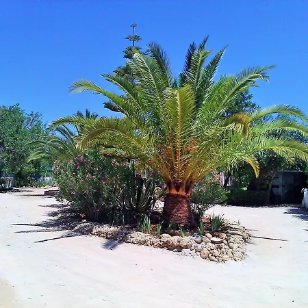 בית נופש Quinta Casalinho אלבופיירה