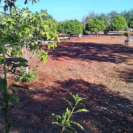 Quinta Casalinho בית נופש *