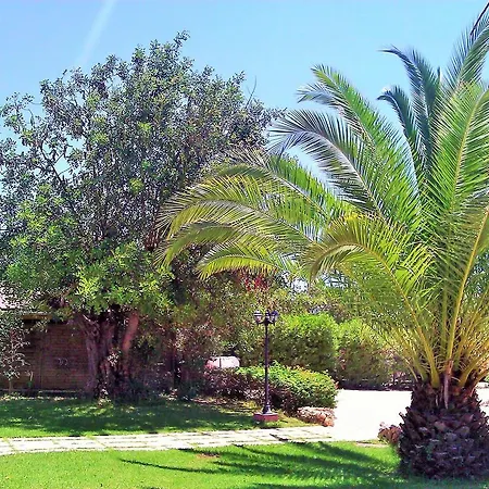 Quinta Casalinho 阿尔布费拉