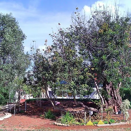 Quinta Casalinho 度假居 阿尔布费拉