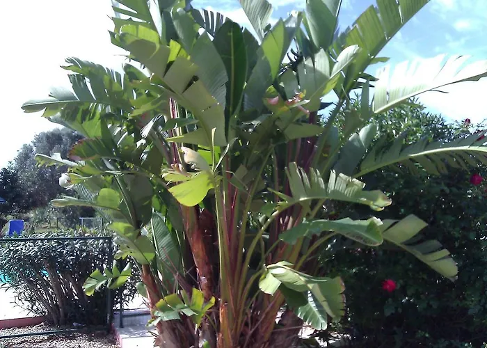 Quinta Casalinho Ferienhaus *