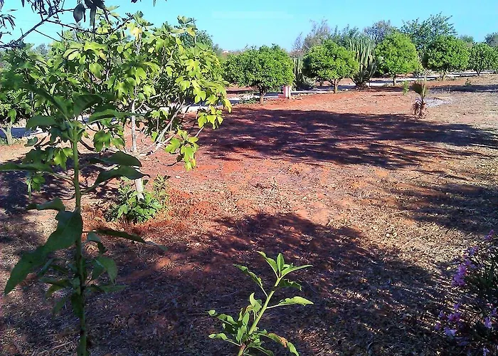 Quinta Casalinho Ferienhaus *