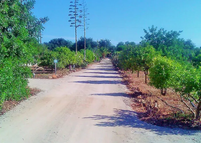 Ferienhaus Quinta Casalinho